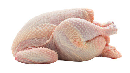 Whole raw uncooked chicken with textured skin, isolated on transparent background © Marta