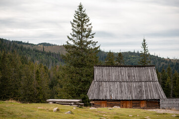 Traditional wooden mountain hut on Rusinowa Polana in the Tatra Mountains of southern Poland © WellStock