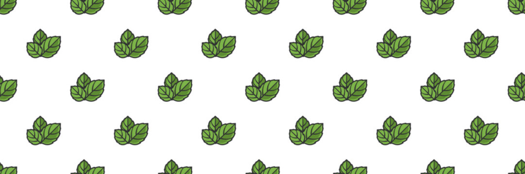 Mint seamless green with leaf pattern fresh and icon background white. Drink advertising vector with illustration plant organic and herbal herb peppermint.