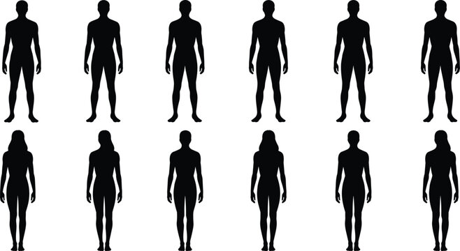 Twelve black silhouette figures of men and women standing in two rows, showing human body proportions and shapes, isolated on a white background, for anatomical reference
