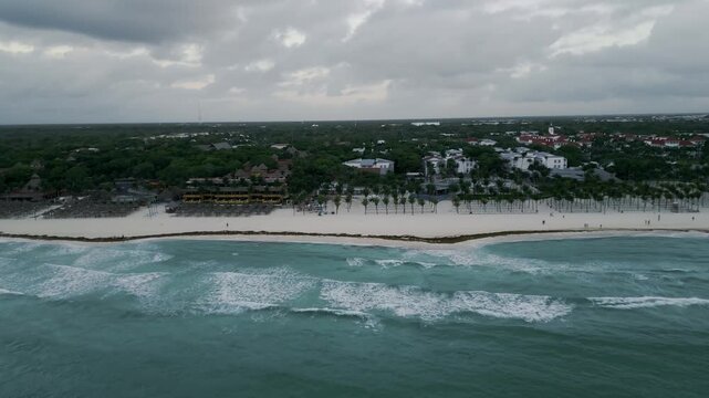 Aerial view of a tropical shoreline lined with drifting sargassum seaweed at dusk
