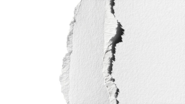 Rough torn paper edges with textured surface, isolated on transparent background
