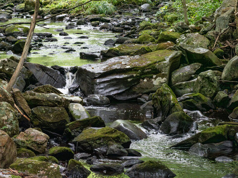 stream at sunnybrook state park