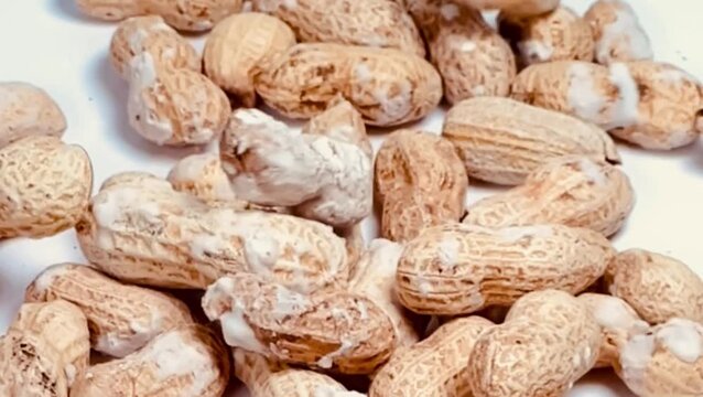 Extreme close-up slow motion pouring of peanuts in shells onto white surface for food banner and snack ad, vertical