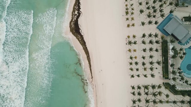 Aerial view of a beachfront resort with palms and turquoise pool