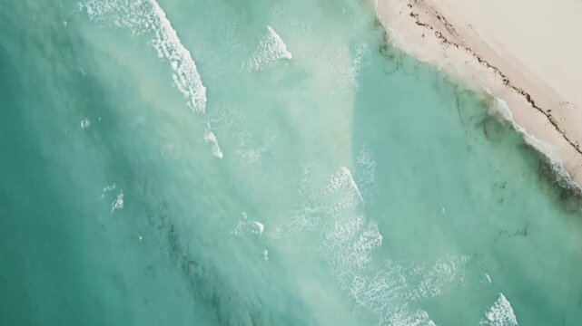 Aerial view of turquoise waves meeting a palm lined sandy shore