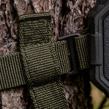 Pine tree bark with olive nylon strap, metal buckle, and rugged trail camera casing showing outdoor equipment firmly secured for wildlife monitoring