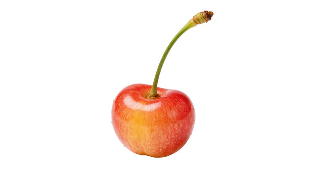 Single ripe Rainier cherry with green stem, isolated on transparent background