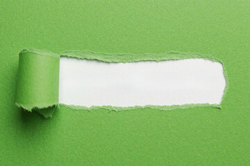 Obraz premium Green paper torn open revealing white background. Use this for copyspace, reveals, or uncovering hidden info. Perfect for creative backgrounds or adding text.