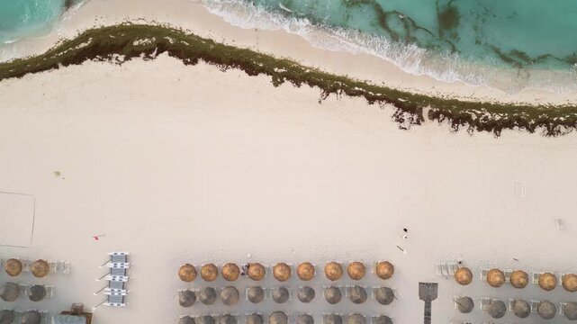 Aerial glide over rows of straw umbrellas along a seaweed fringed coast