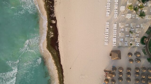 Aerial flight along rows of palm thatched umbrellas beside a seaweed streaked shore
