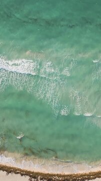Aerial view of turquoise waves rolling along a sargassum lined shoreline