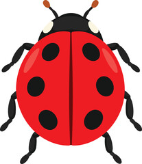 Fototapeta premium Cute Red Ladybug with Black Spots Isolated on White Background – Vector Illustration