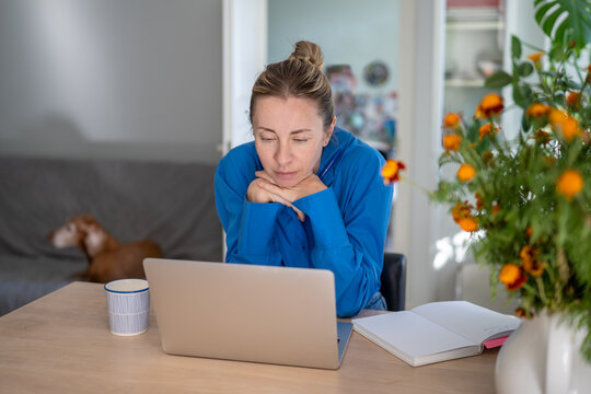 Focused relaxed woman looking at laptop screen while working from home office on remote, concentrated businesswoman staring at computer display watching media or reading news, daily work routine.