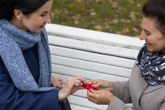 Communication. Two female friends meeting outdoors in city park sharing emotional talk and gestures during cool seasonal daytime.
