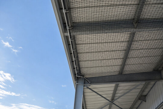 Bird exclusion netting beneath a warehouse loading canopy