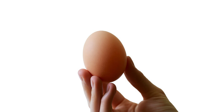 Isolated raw brown chicken egg gently held in a person's hand with clean details