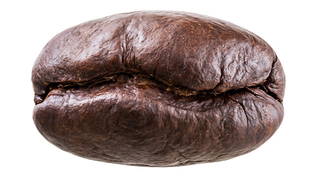Isolated single dark roasted coffee bean, rich texture, perfect for coffee and beverage concepts.