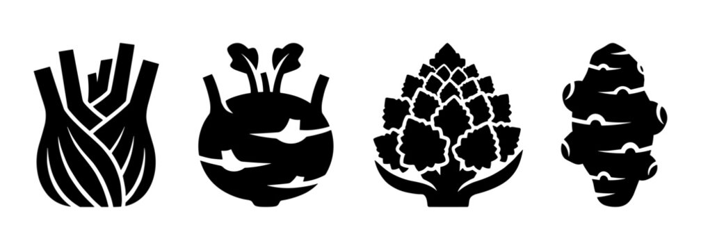Organic gourmet root and brassica vegetables silhouette icons set, fresh fennel bulb, kohlrabi turnip, romanesco broccoli cauliflower, and jerusalem artichoke tuber vector