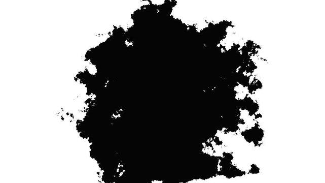 Black ink drops merging and spreading across white paper, watercolor paint bleed transition, organic liquid bloom, 4k grunge reveal texture for motion graphics