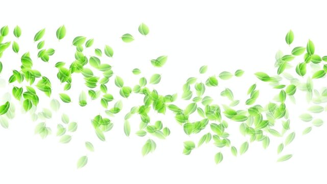 Floating Green Leaves on White 4K