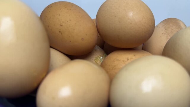 Brown and cream organic eggs stacked inside a glossy blue bowl with soft lighting and smooth textures. Perfect for healthy cooking or breakfast blog posts.