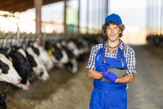 Male farmer vet in cowshed examines condition of cows, writes data to tablet, and records information on report.