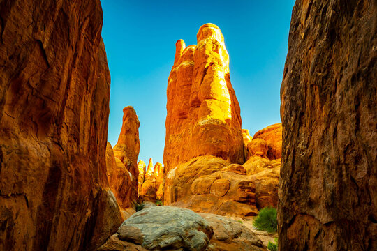 Fiery Furnace glows with golden sunrise light in Utah