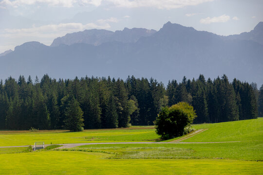 Rural Bavarian countryside landscape, Scenic view of slope hills and lush green grass meadow with tree trunk, Alpine mountains with pine forest under blue sky and white clouds, Bavaria region, Germany