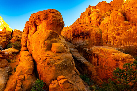 Fiery Furnace sandstone fins glow under morning sunrise light