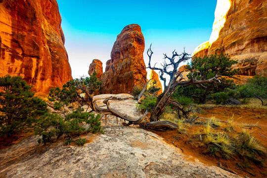 Fiery Furnace sandstone fins glow under morning sunrise light