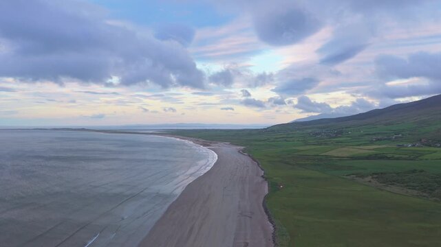 Cinematic vertical aerial view of a sweeping sandy coastline and green hills at Fermoyle Beach on Dingle Peninsula, County Kerry, Ireland