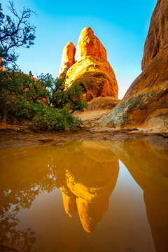 Fiery Furnace sandstone monolith reflects in desert pool in Utah