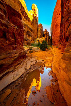 Fiery Furnace sandstone monolith reflects in desert pool in Utah