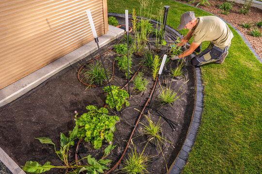 Gardener tending plants in a curved garden bed