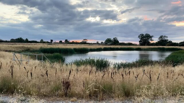Abandoned Lake in Milton Keynes, UK &ndash; Cinematic Pan Shot