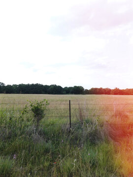 Texas landscape on an overcast day behind a barbed wire fence in rural countryside