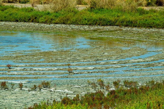 Tropical Lagoon Ecosystem at Low Tide with Lush Green Vegetation
