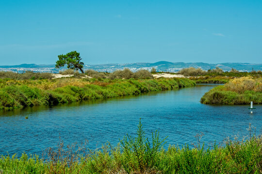Lush riparian landscape with river flowing through natural wetlands and distant city skyline