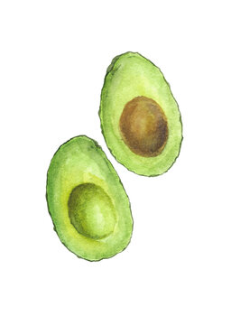 Avocado halves with and without pit watercolor illustration