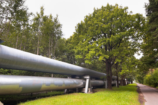 The photo shows a pipeline against the backdrop of a forest, with a road running alongside it
