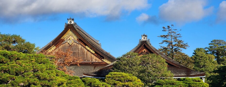 Wide horizontal shot of the ornate gabled bark roofs and gold-accented pediments of the Kyoto Imperial Palace, rising dramatically above a lush canopy of pine trees against a vivid blue sky.