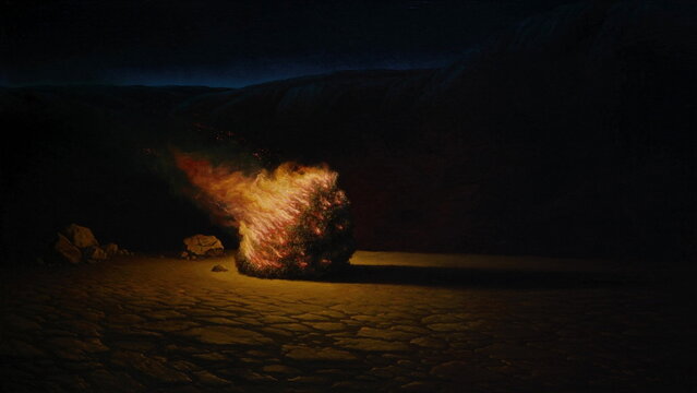 Burning Bush on Cracked Desert Floor at Night Mount Horeb
