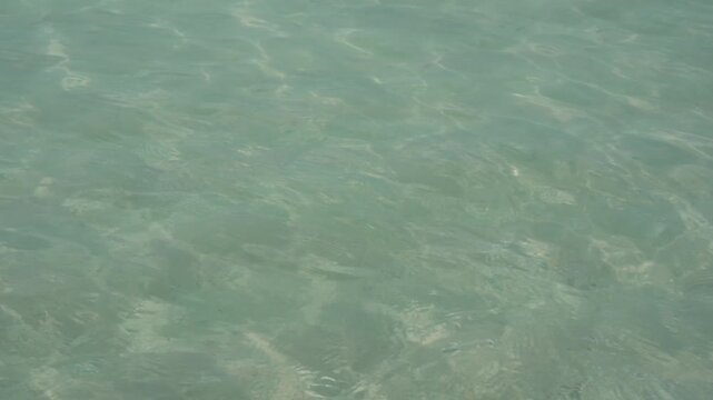 Stock video footage of tiny fish swimming in shallow, crystal-clear turquoise ocean water over a sandy bottom in Panama City Beach, Florida. Perfect for marine life, tropical vacation, clean water