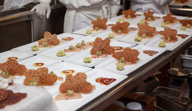 Chefs Plating Gourmet Fish Crudo with Sesame Tuile for Banquet Service