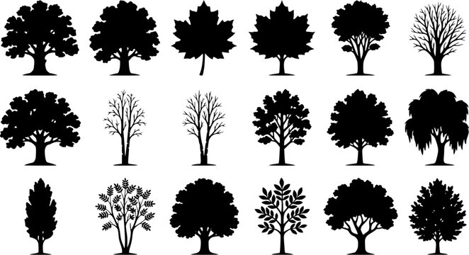 various deciduous trees silhouettes on the white background. vector set. PNG white background
