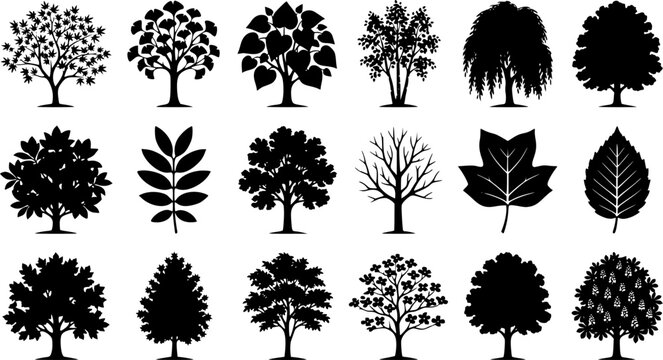 various deciduous trees silhouettes on the white background. vector set. PNG white background
