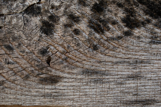 Imagen de madera con moho negro vieja y desgastada para texturas