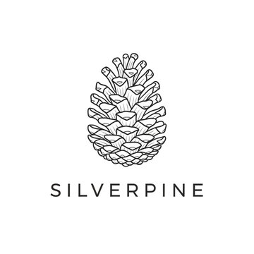 Corporate Logo Design Featuring a Black and White of a Pine Cone with the Word SILVERPINE Below in Bold Lettering