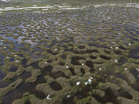  Top view drone shot of unique water menderes and pools formed by melting snow in Karagol Plateau, Sakarya, Turkey.